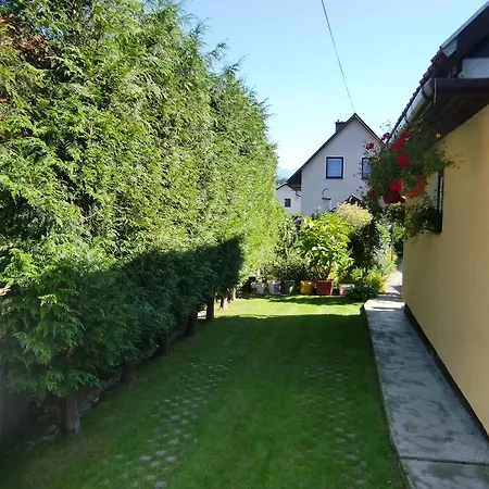 Kucbel
